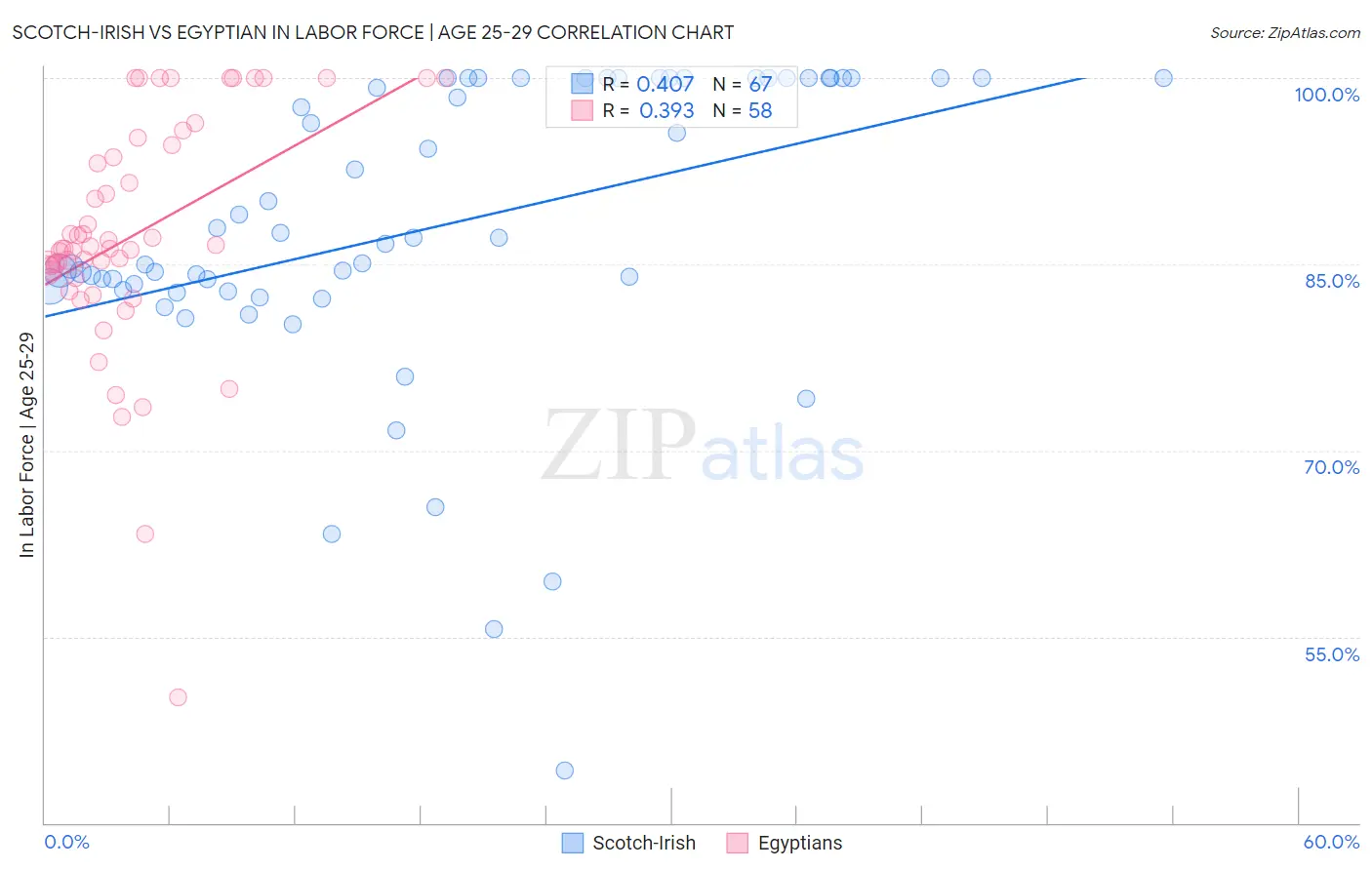 Scotch-Irish vs Egyptian In Labor Force | Age 25-29