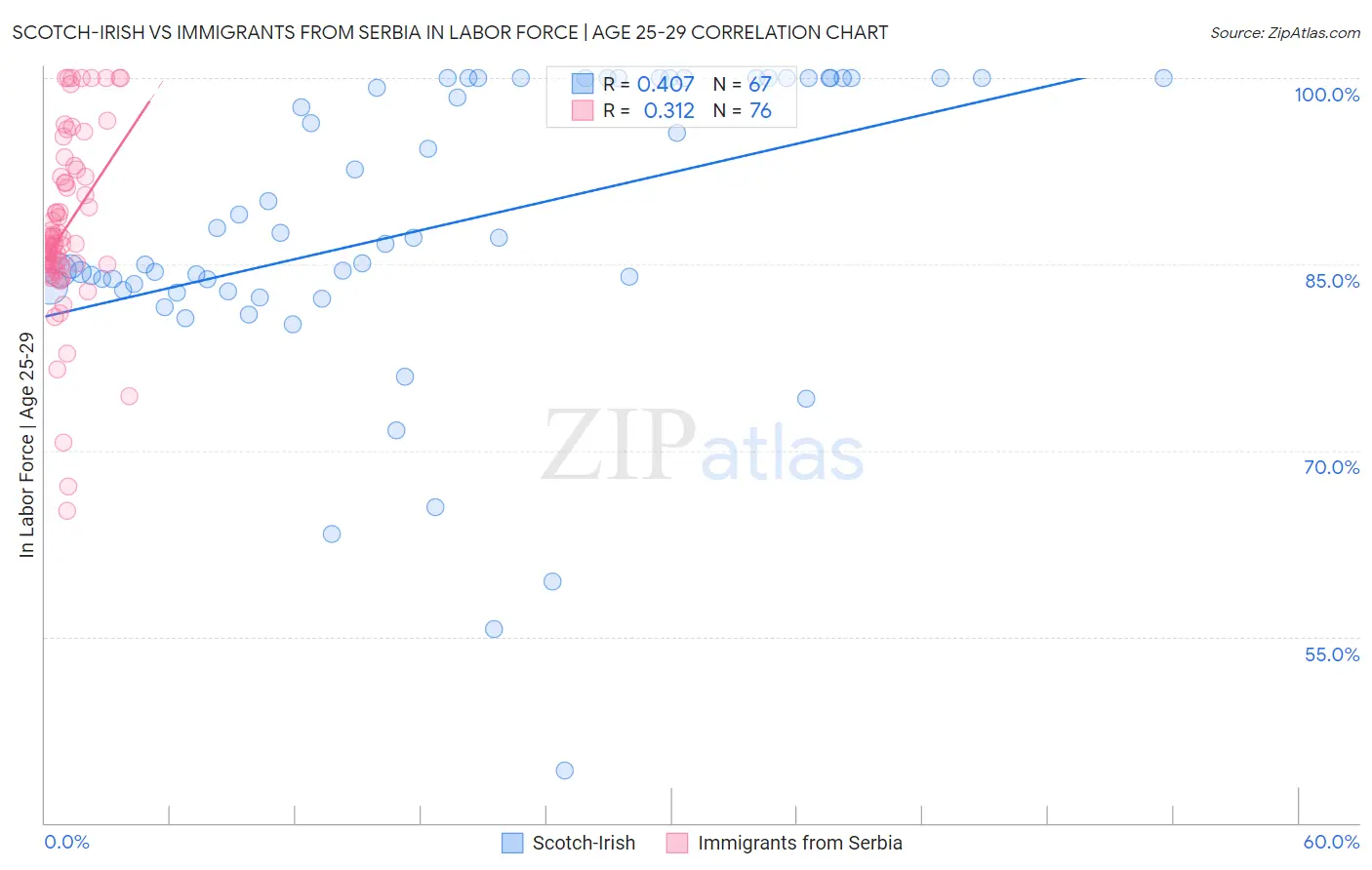 Scotch-Irish vs Immigrants from Serbia In Labor Force | Age 25-29