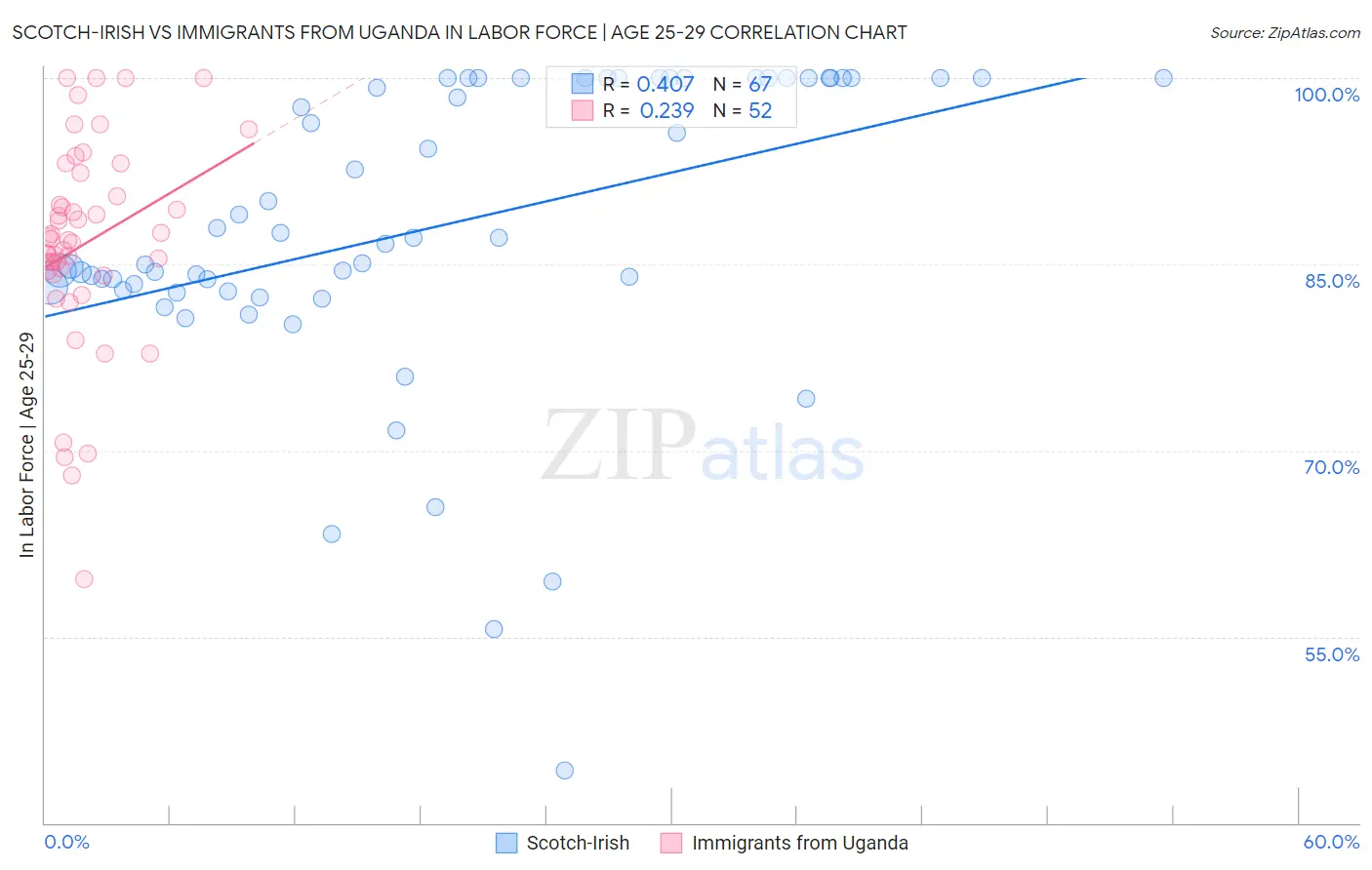 Scotch-Irish vs Immigrants from Uganda In Labor Force | Age 25-29
