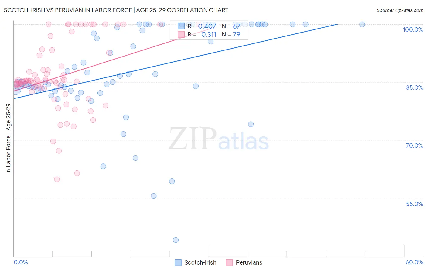 Scotch-Irish vs Peruvian In Labor Force | Age 25-29
