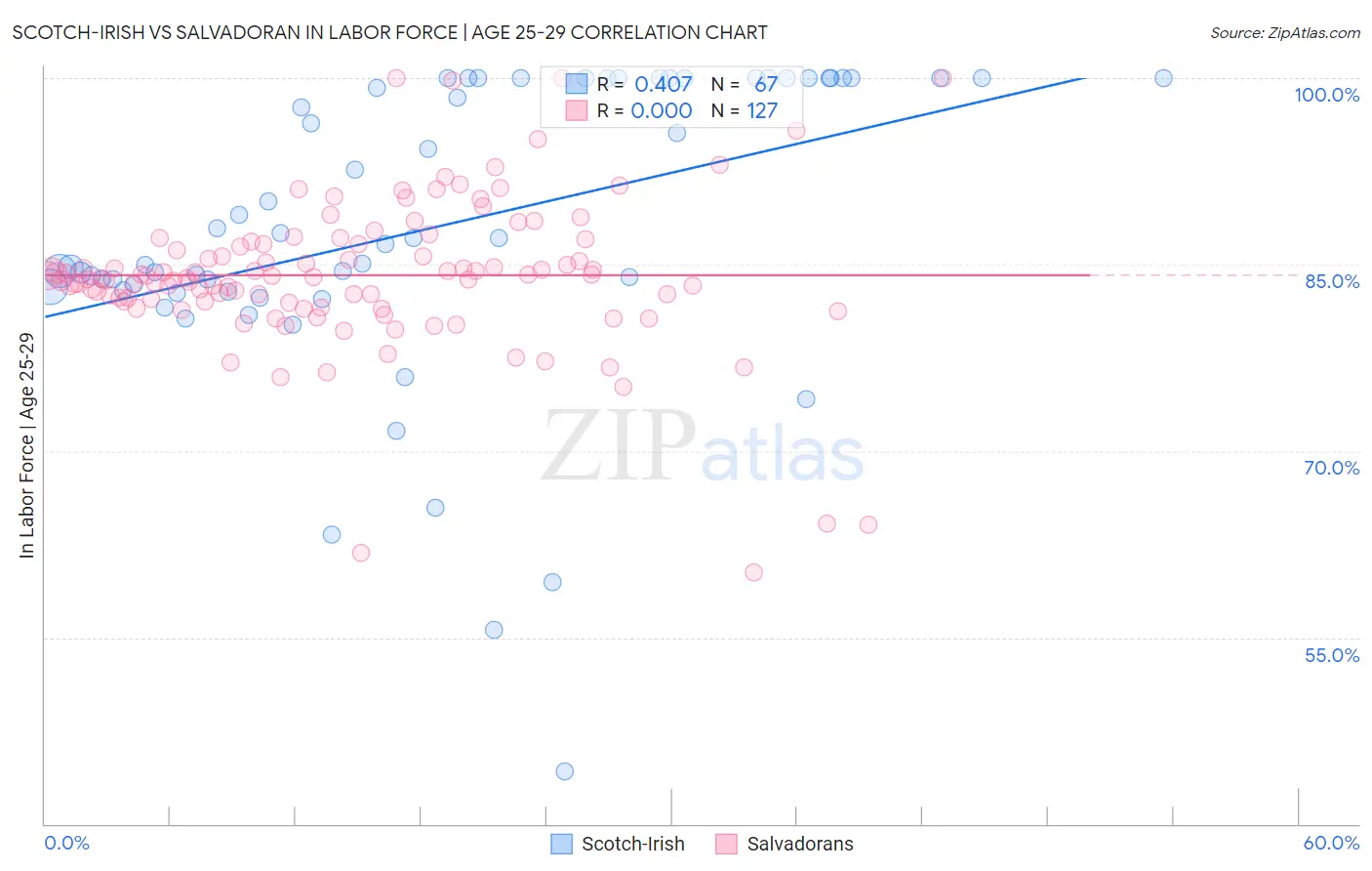 Scotch-Irish vs Salvadoran In Labor Force | Age 25-29