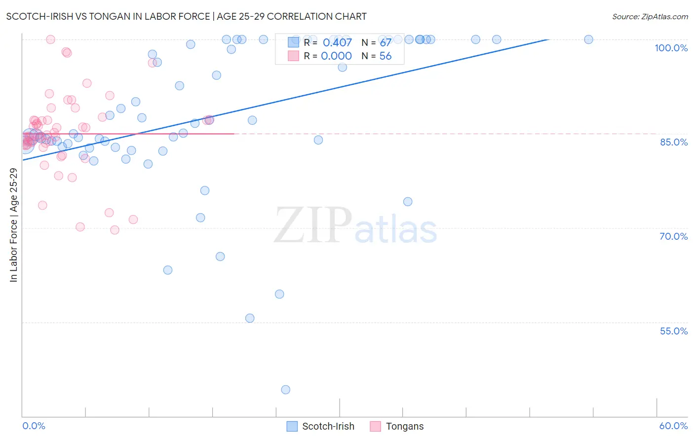 Scotch-Irish vs Tongan In Labor Force | Age 25-29
