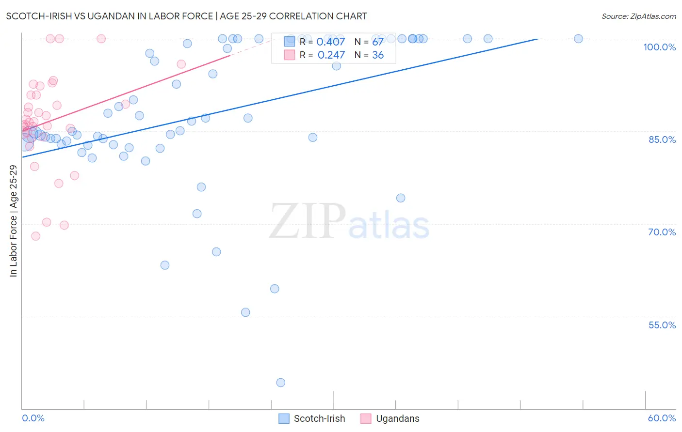 Scotch-Irish vs Ugandan In Labor Force | Age 25-29