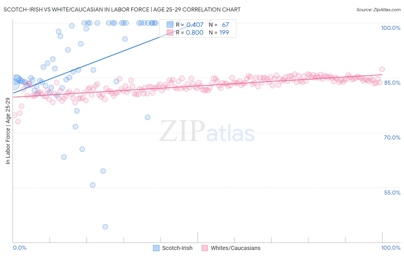 Scotch-Irish vs White/Caucasian In Labor Force | Age 25-29