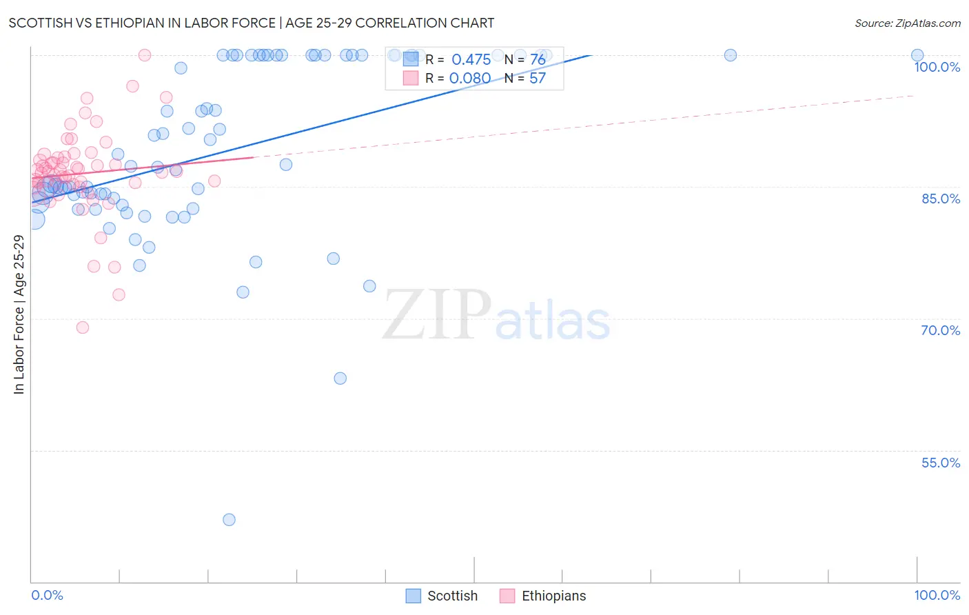 Scottish vs Ethiopian In Labor Force | Age 25-29