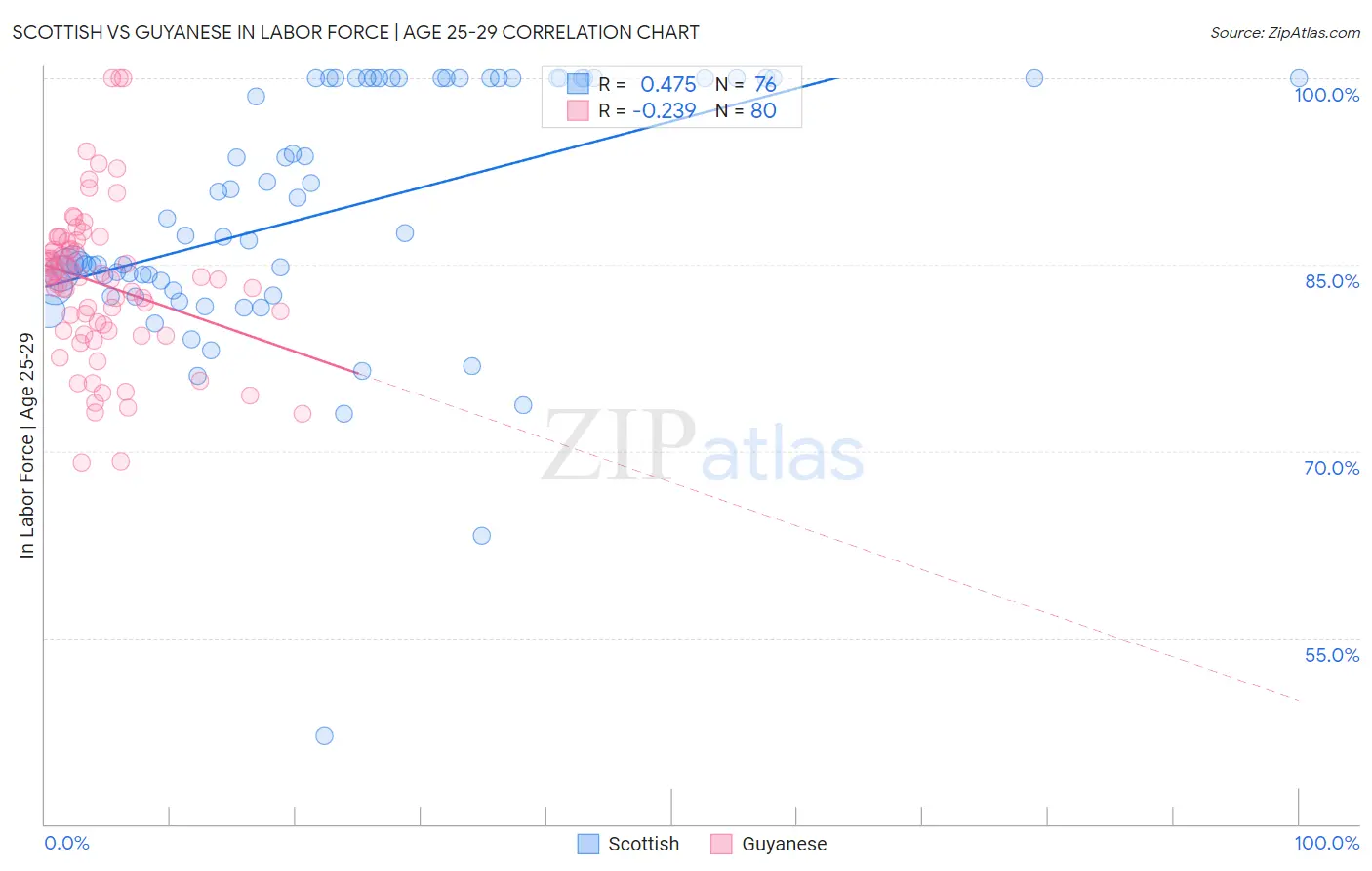 Scottish vs Guyanese In Labor Force | Age 25-29