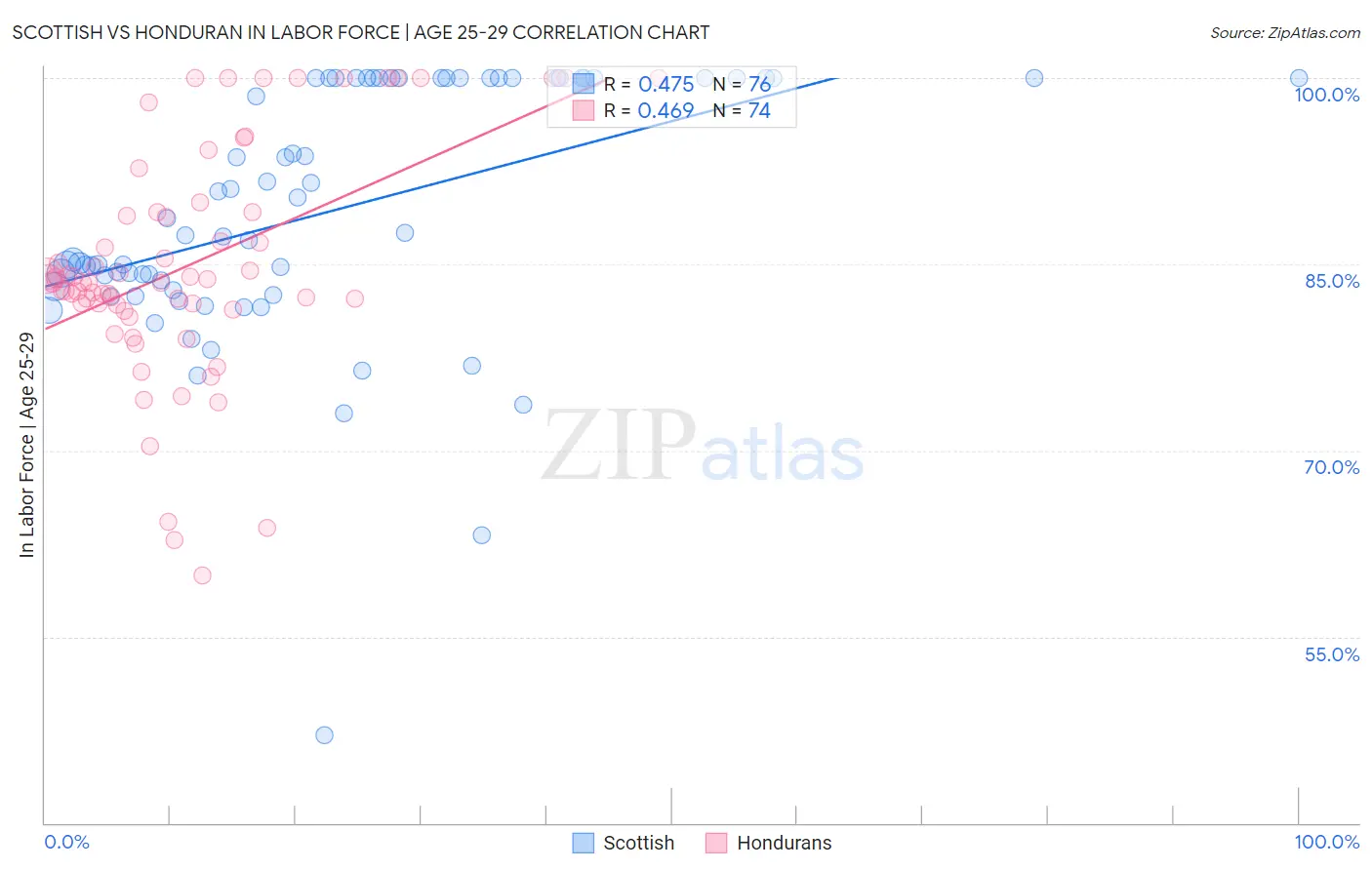 Scottish vs Honduran In Labor Force | Age 25-29