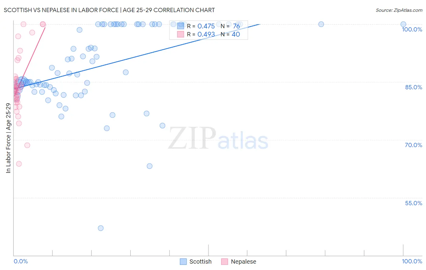 Scottish vs Nepalese In Labor Force | Age 25-29