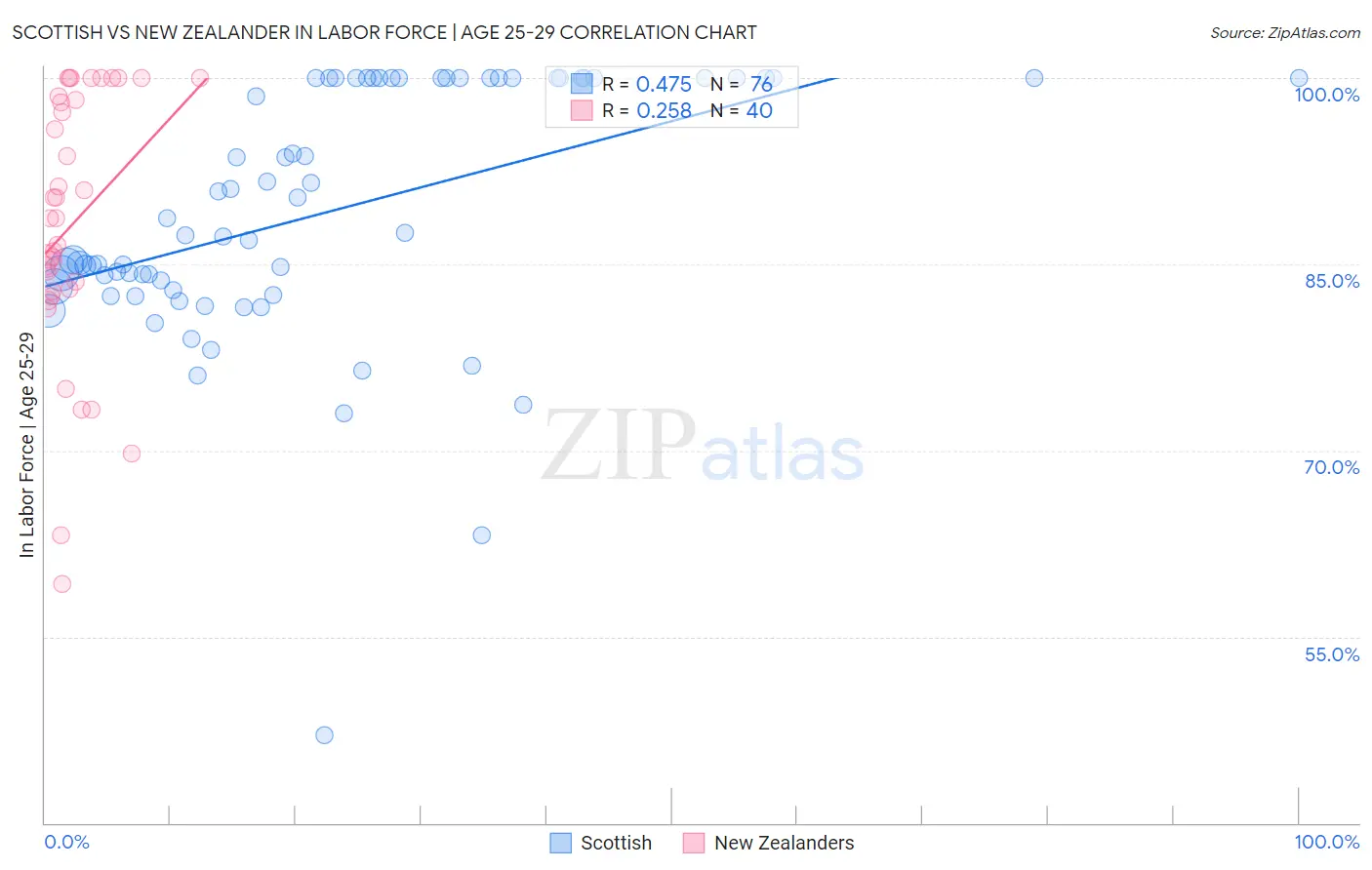 Scottish vs New Zealander In Labor Force | Age 25-29