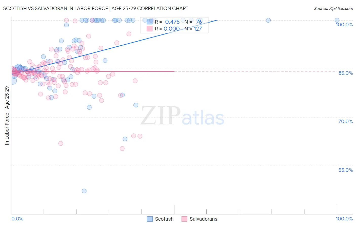 Scottish vs Salvadoran In Labor Force | Age 25-29