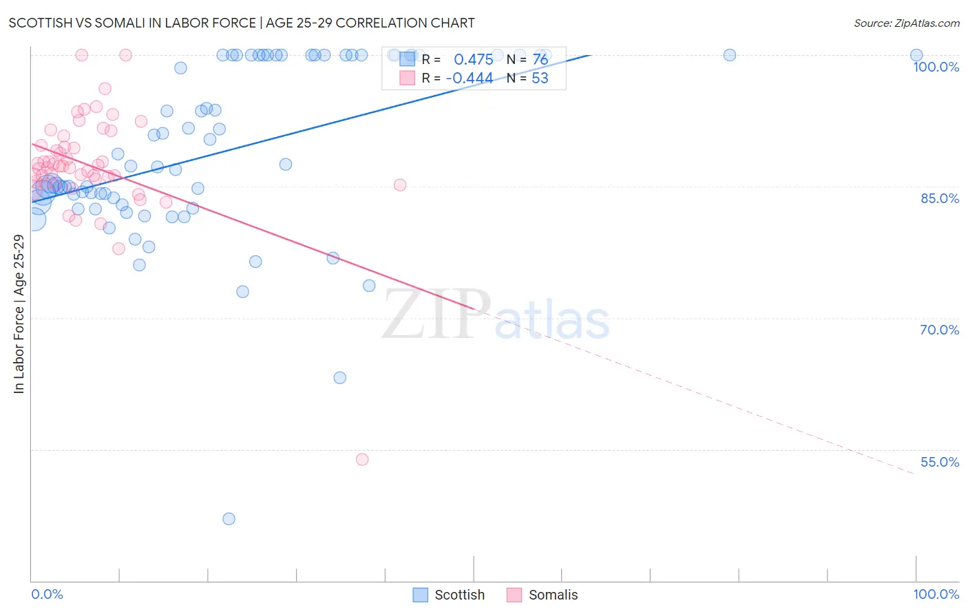 Scottish vs Somali In Labor Force | Age 25-29