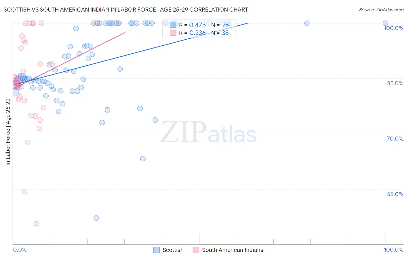 Scottish vs South American Indian In Labor Force | Age 25-29