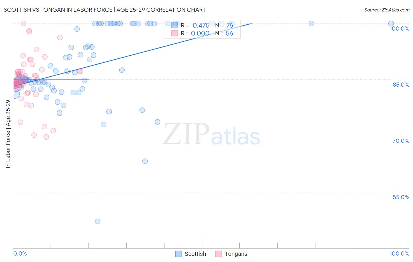 Scottish vs Tongan In Labor Force | Age 25-29