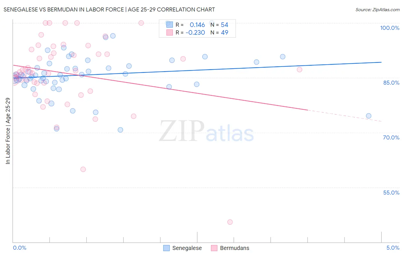Senegalese vs Bermudan In Labor Force | Age 25-29