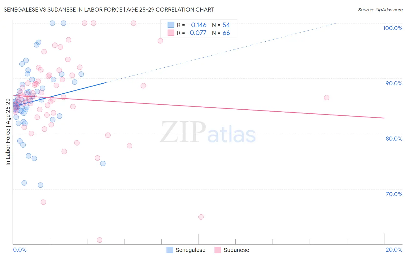Senegalese vs Sudanese In Labor Force | Age 25-29