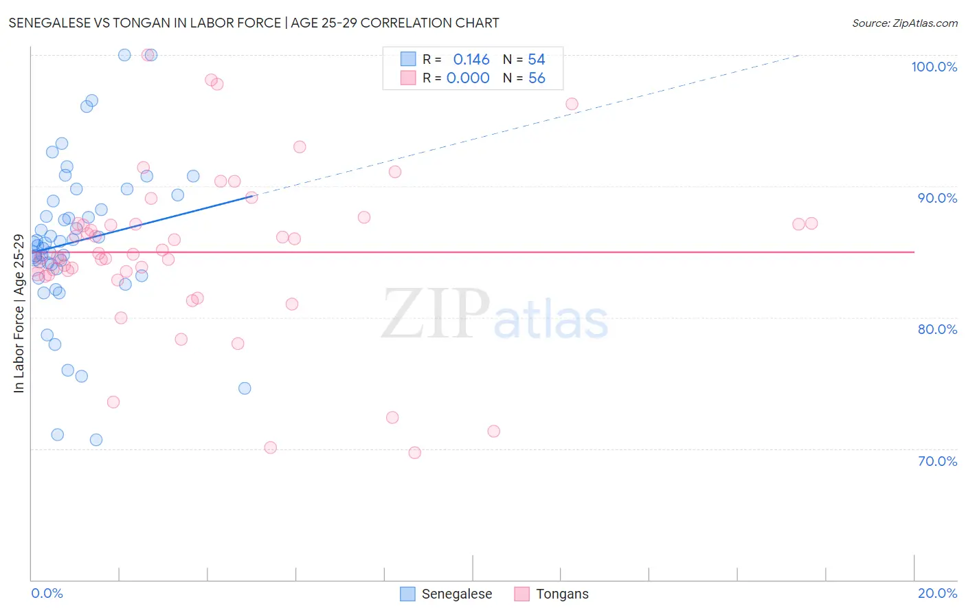 Senegalese vs Tongan In Labor Force | Age 25-29