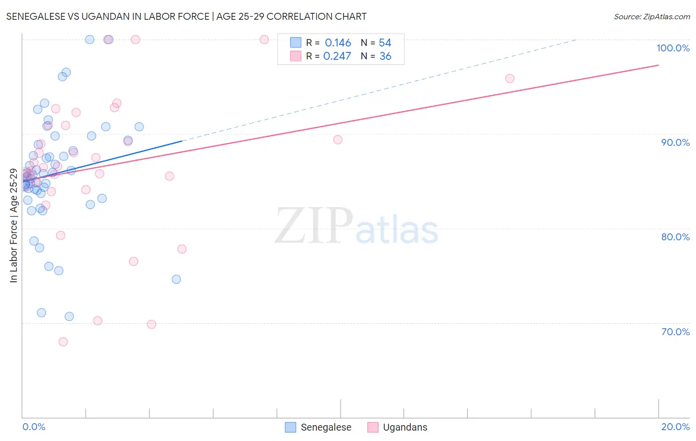 Senegalese vs Ugandan In Labor Force | Age 25-29