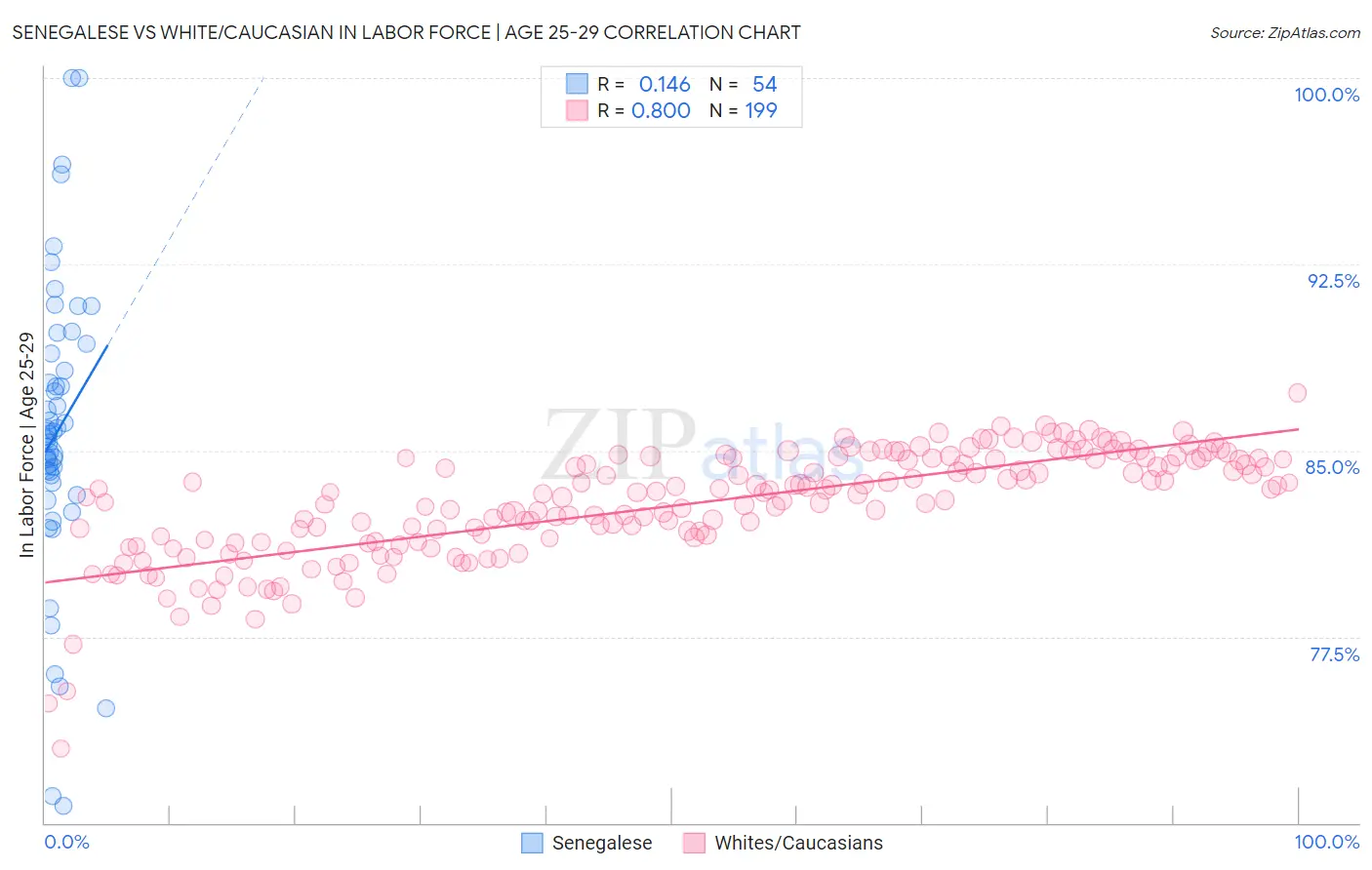 Senegalese vs White/Caucasian In Labor Force | Age 25-29