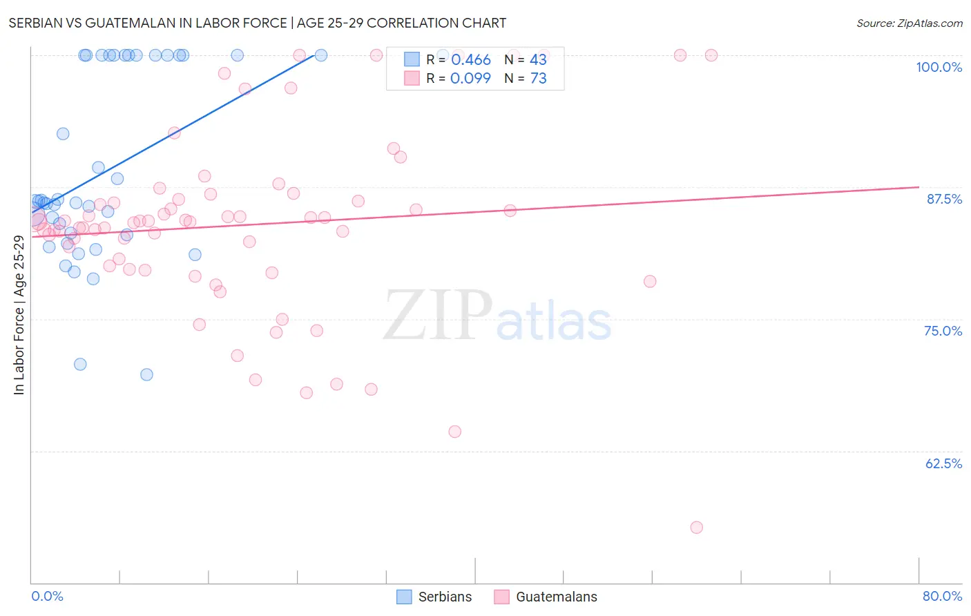 Serbian vs Guatemalan In Labor Force | Age 25-29