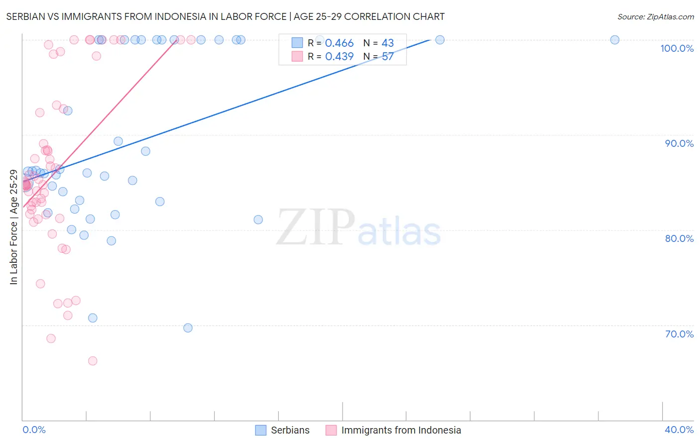 Serbian vs Immigrants from Indonesia In Labor Force | Age 25-29