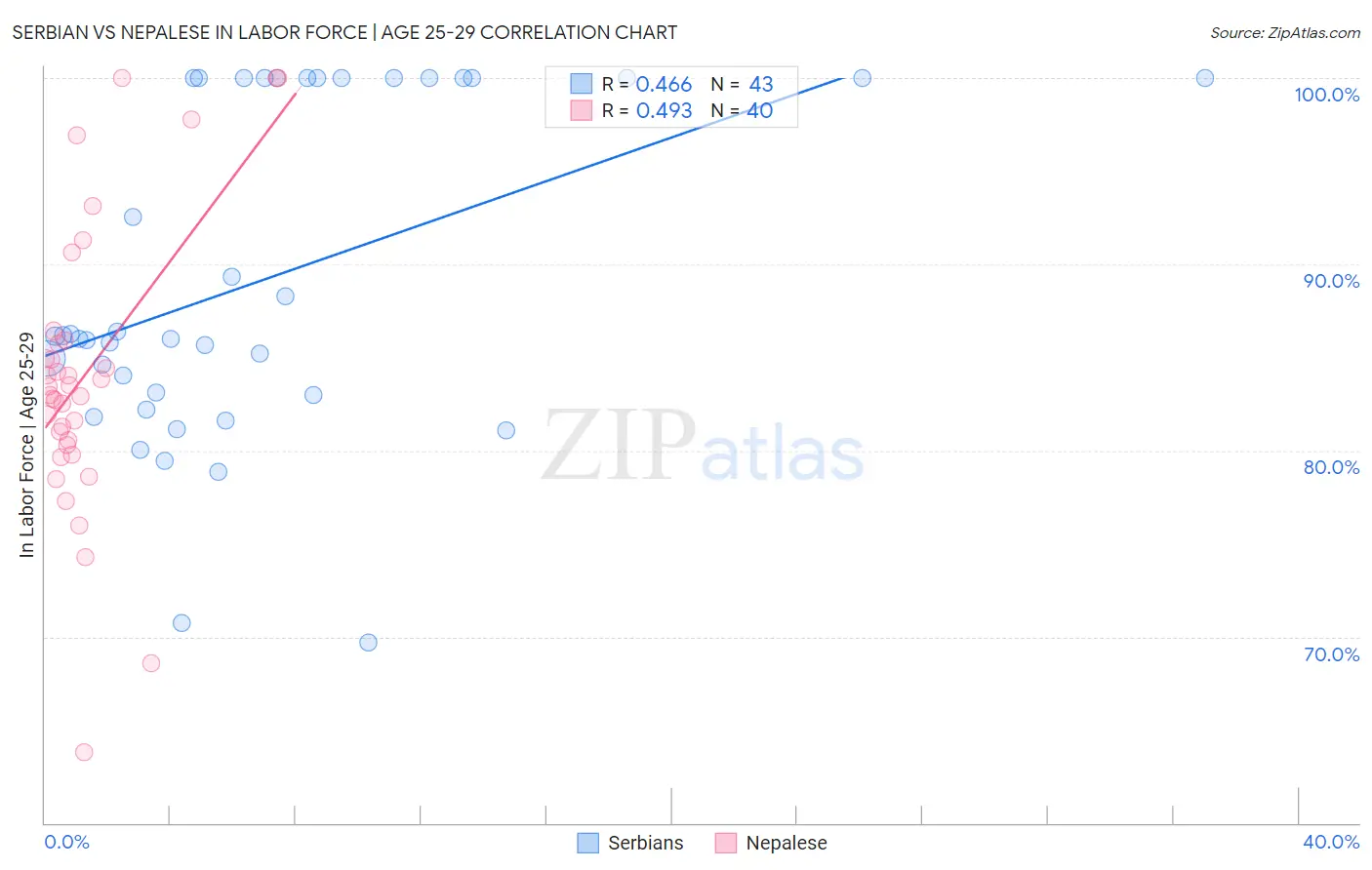 Serbian vs Nepalese In Labor Force | Age 25-29
