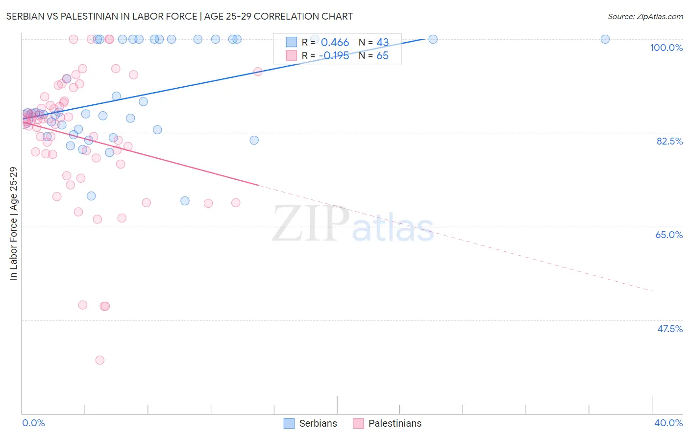 Serbian vs Palestinian In Labor Force | Age 25-29