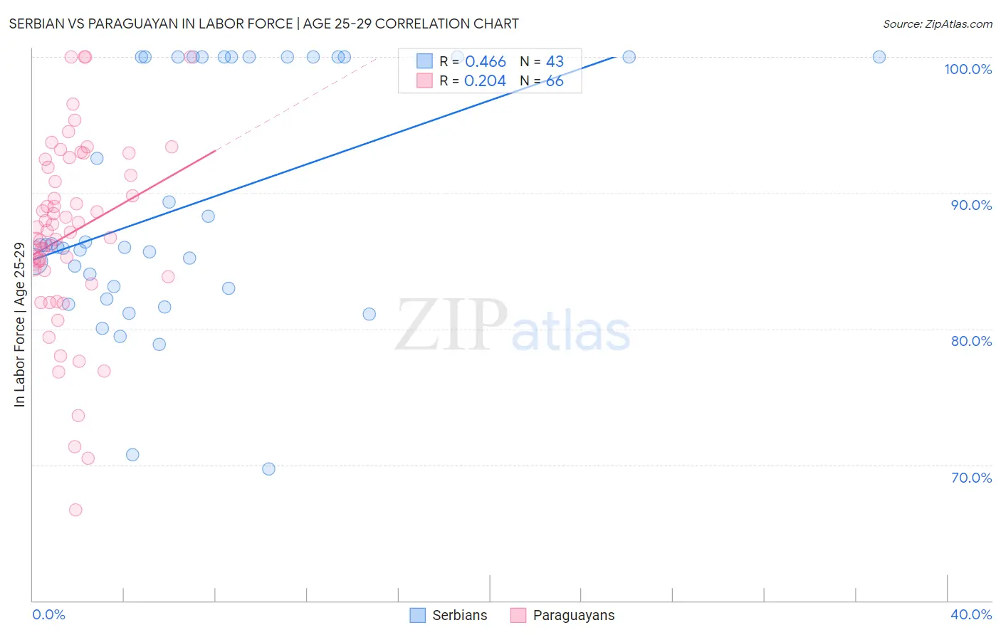 Serbian vs Paraguayan In Labor Force | Age 25-29