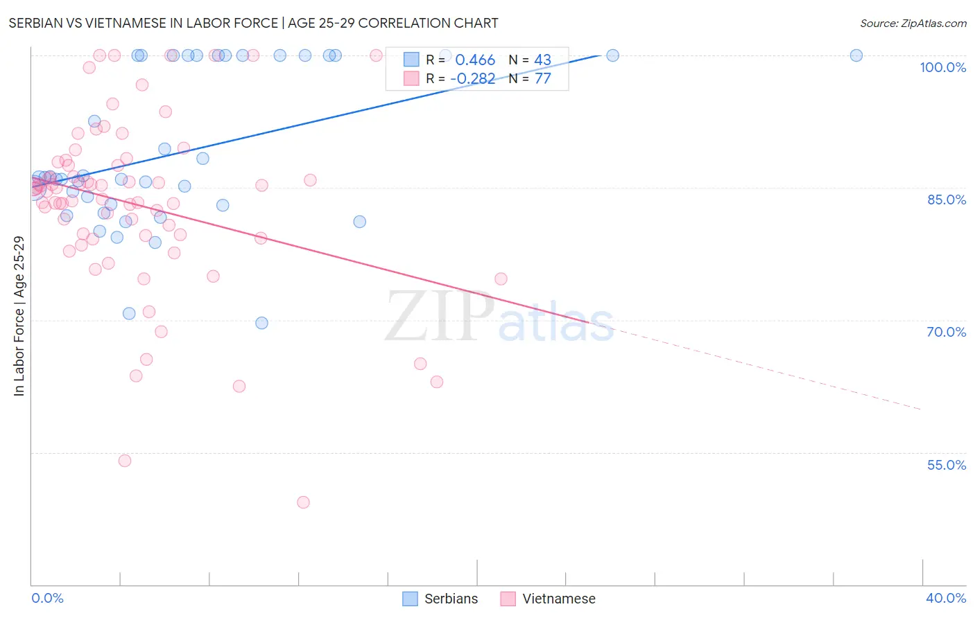 Serbian vs Vietnamese In Labor Force | Age 25-29