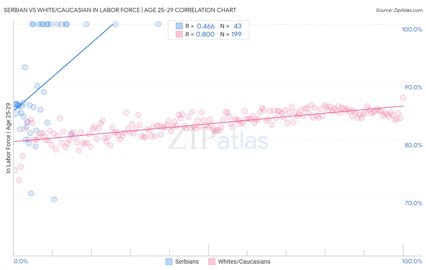 Serbian vs White/Caucasian In Labor Force | Age 25-29