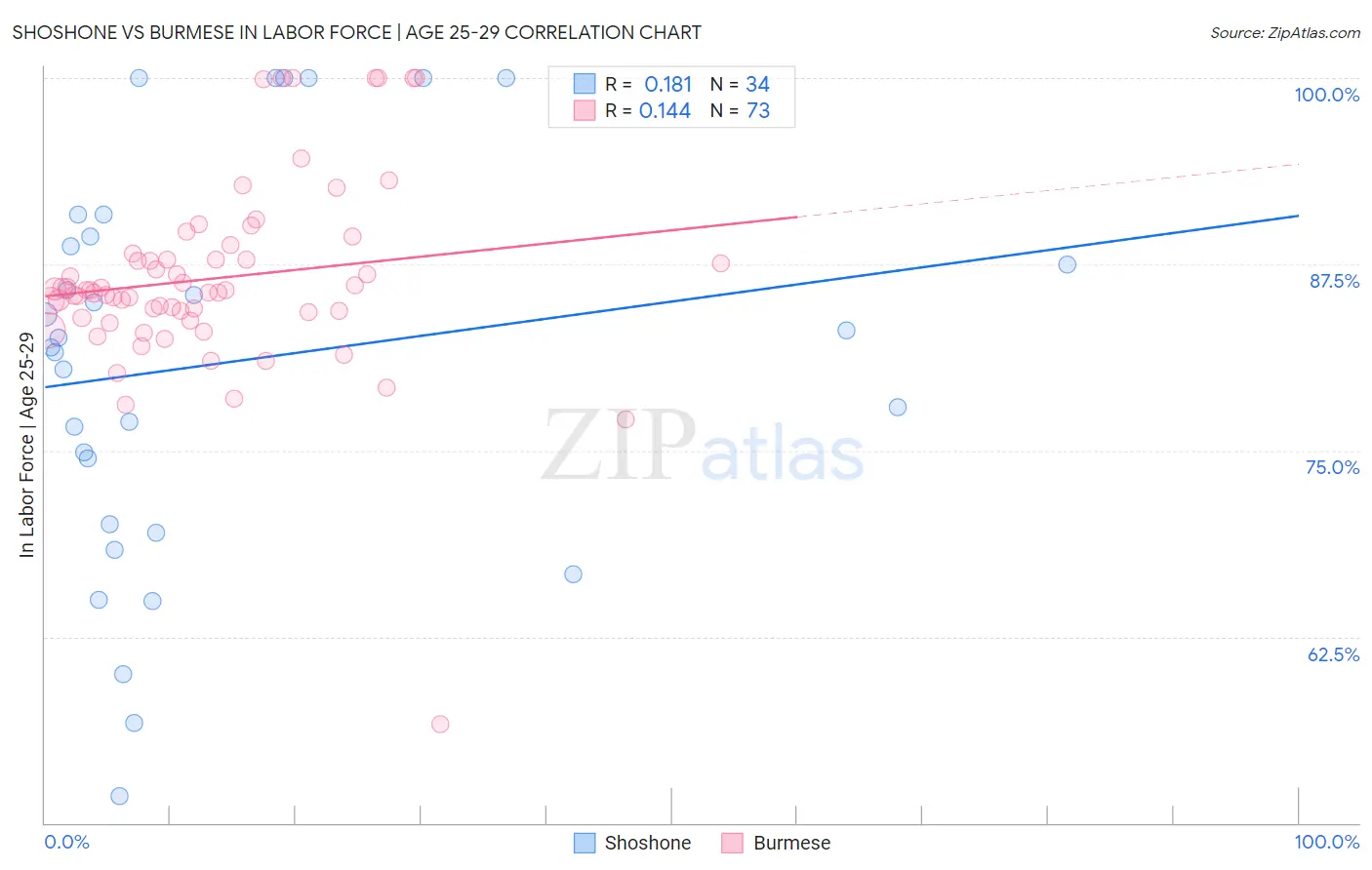 Shoshone vs Burmese In Labor Force | Age 25-29