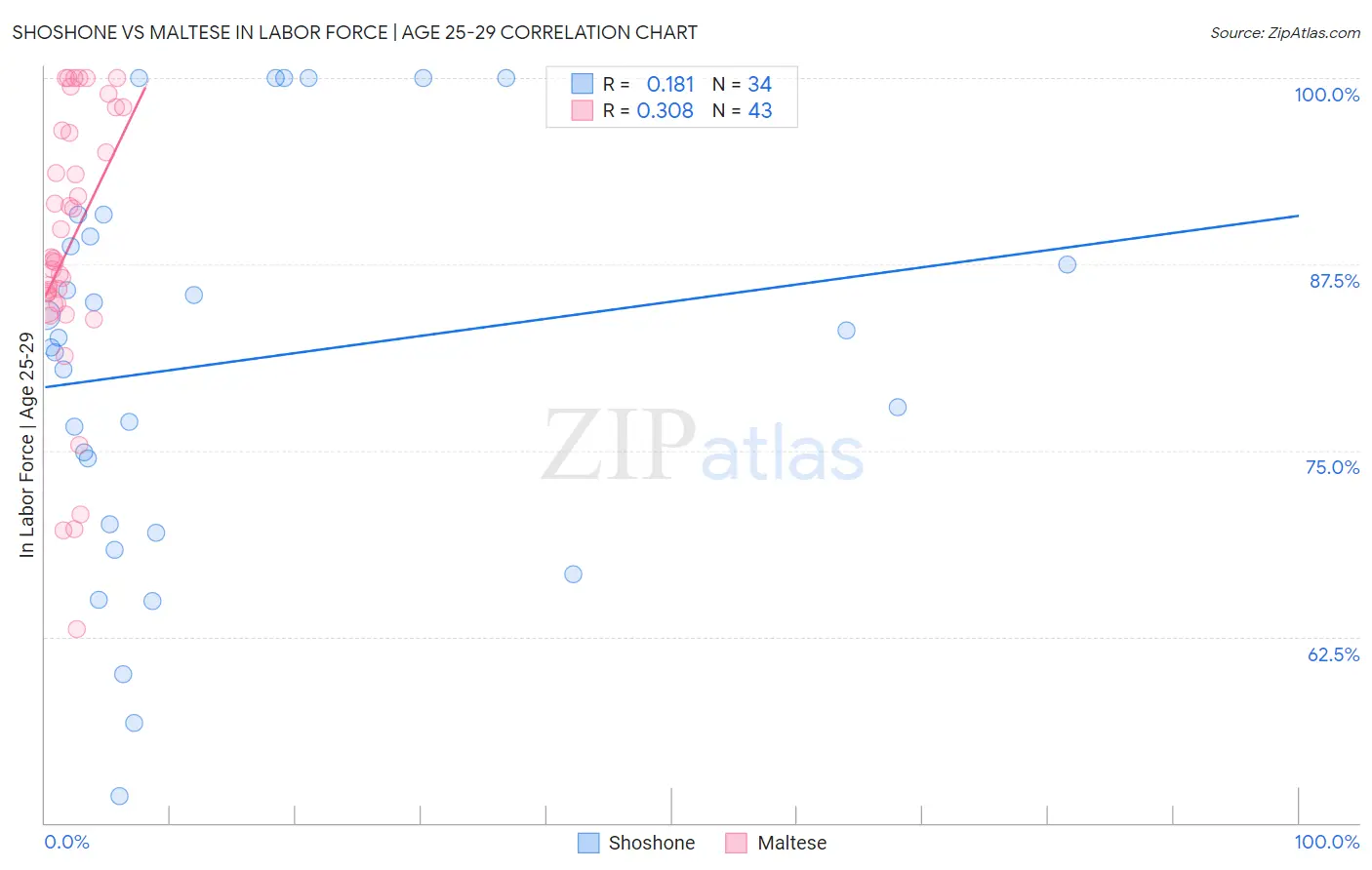 Shoshone vs Maltese In Labor Force | Age 25-29