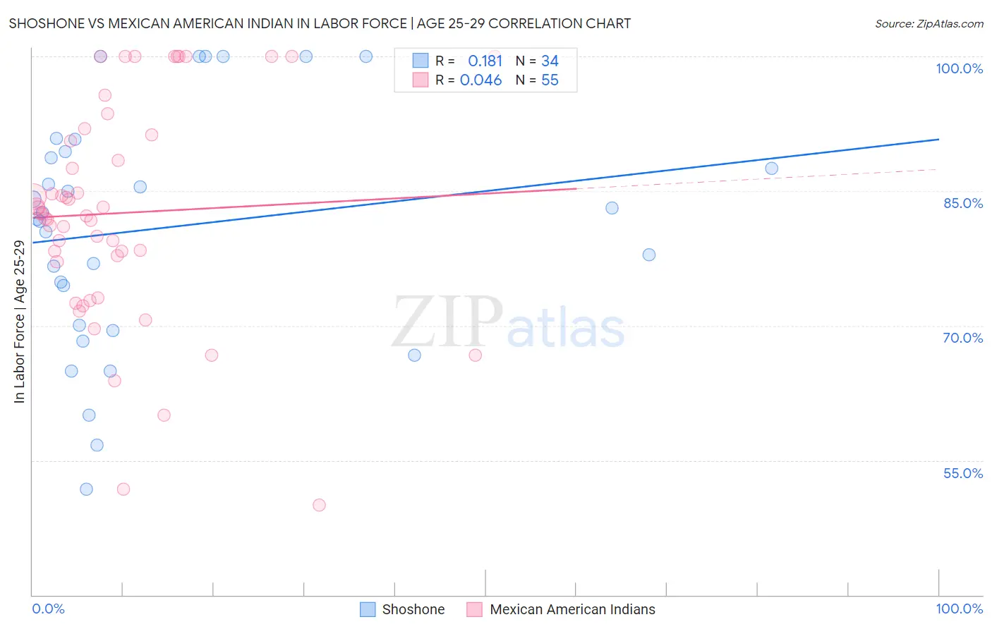 Shoshone vs Mexican American Indian In Labor Force | Age 25-29