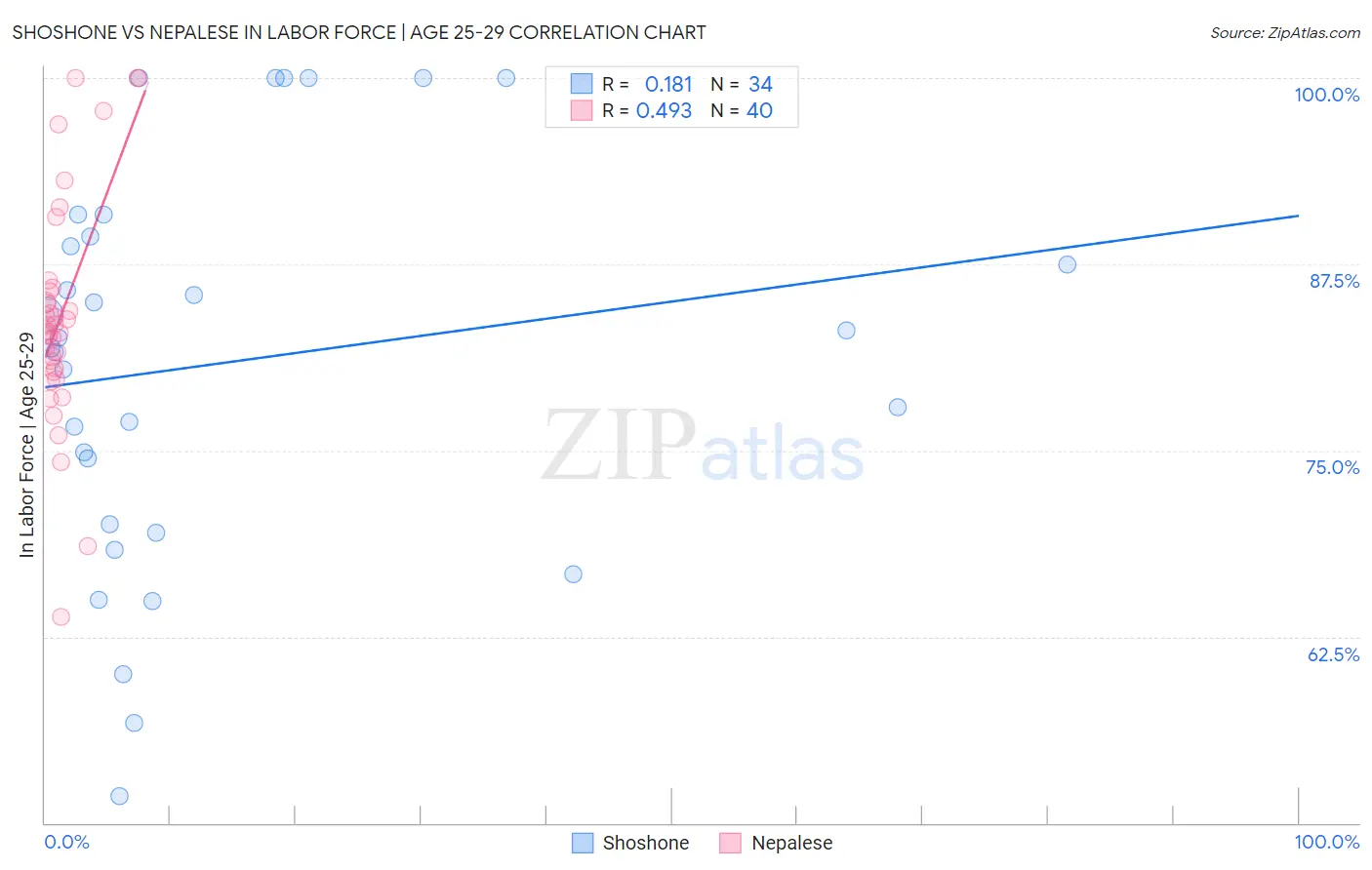 Shoshone vs Nepalese In Labor Force | Age 25-29