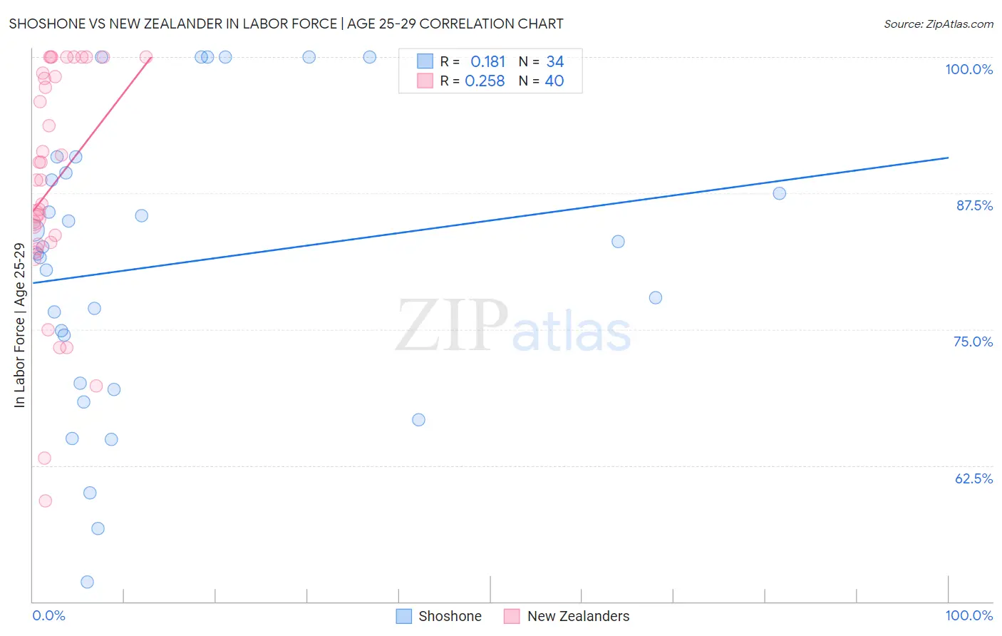 Shoshone vs New Zealander In Labor Force | Age 25-29