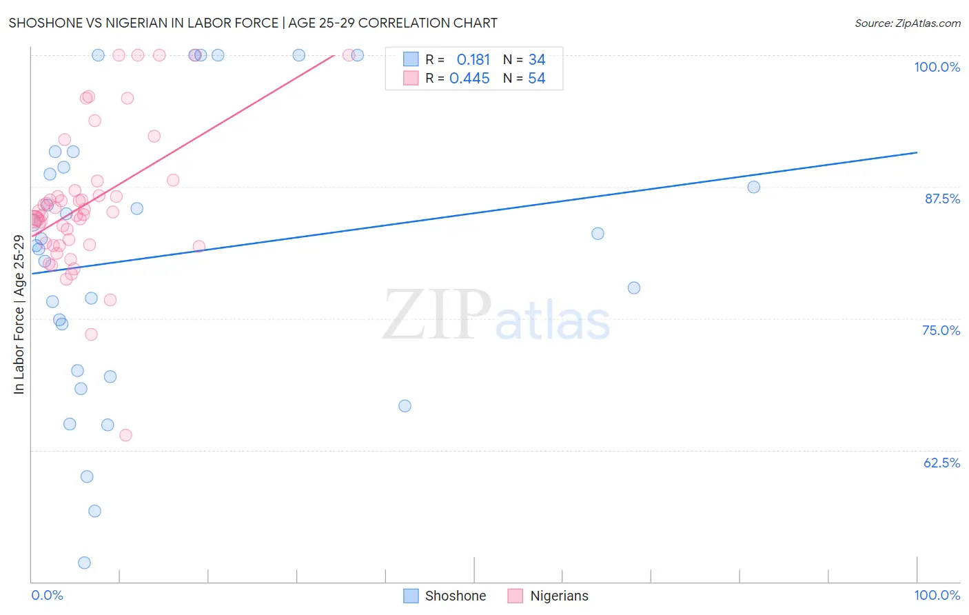 Shoshone vs Nigerian In Labor Force | Age 25-29