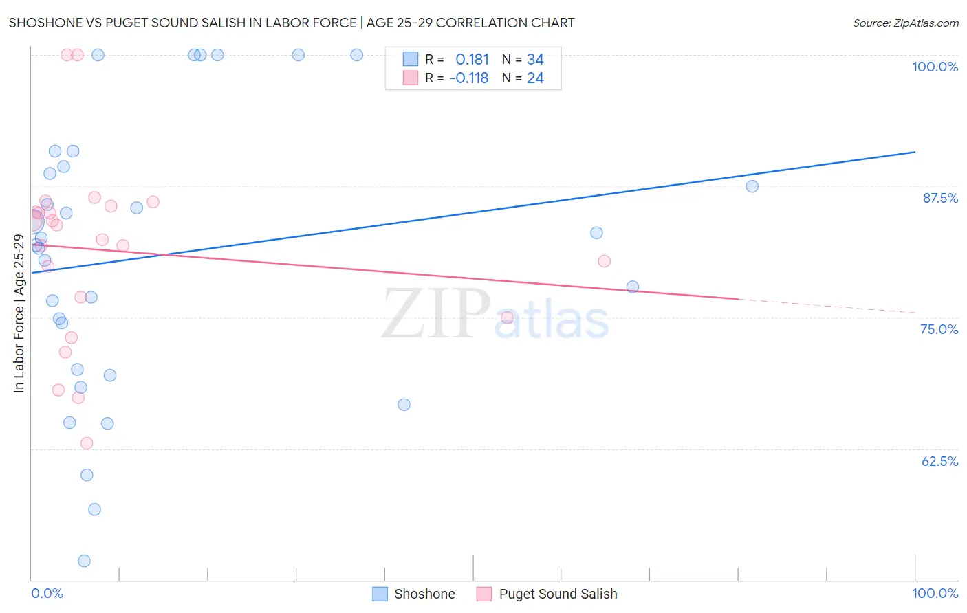 Shoshone vs Puget Sound Salish In Labor Force | Age 25-29