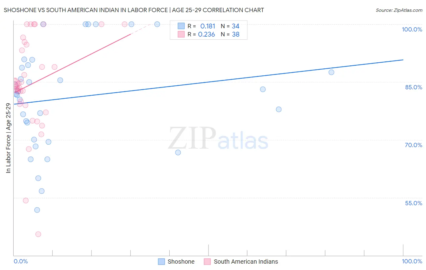 Shoshone vs South American Indian In Labor Force | Age 25-29