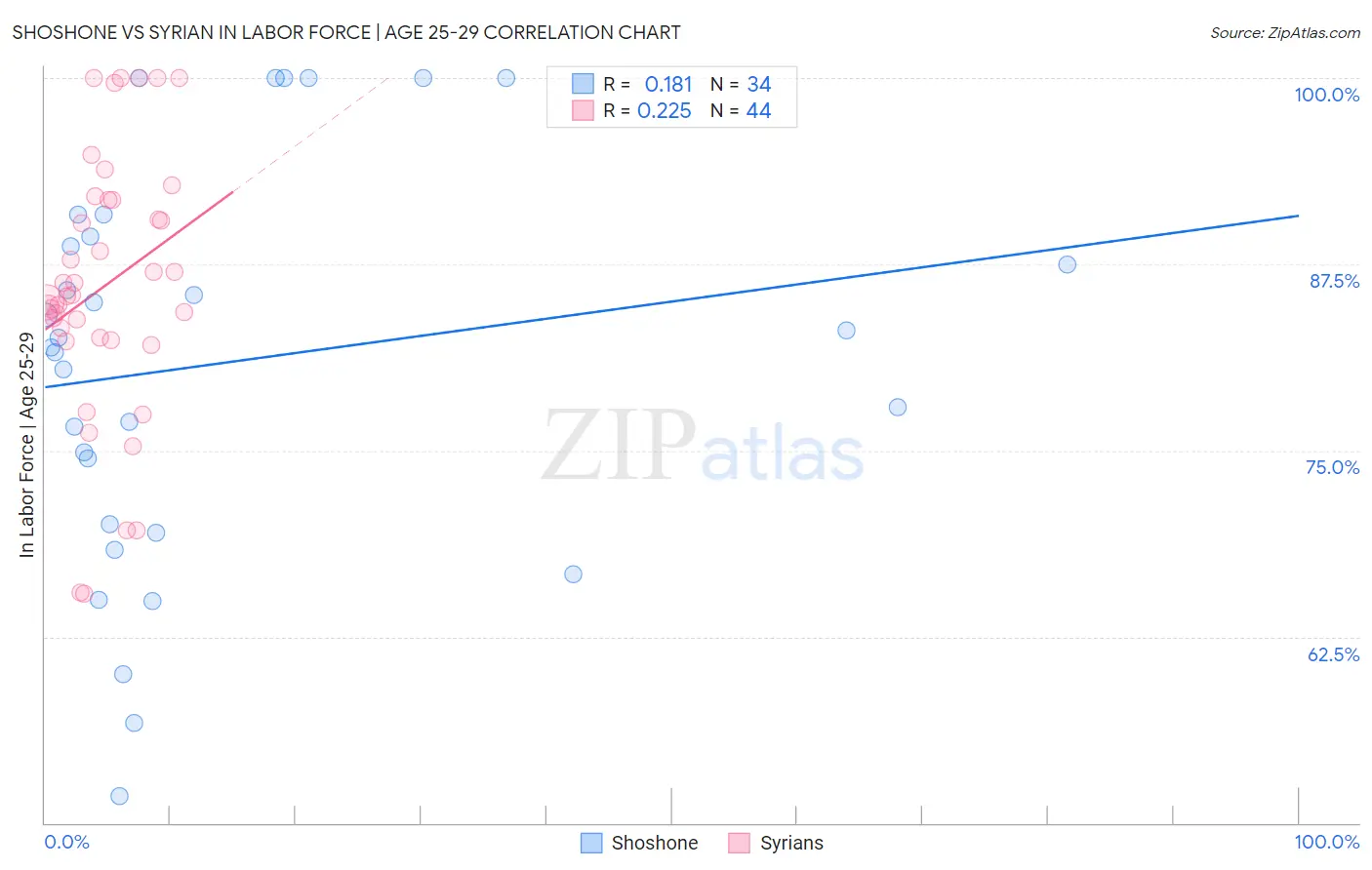 Shoshone vs Syrian In Labor Force | Age 25-29