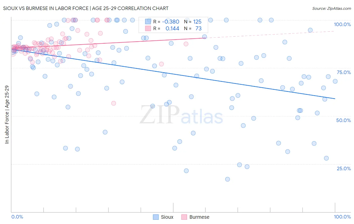 Sioux vs Burmese In Labor Force | Age 25-29
