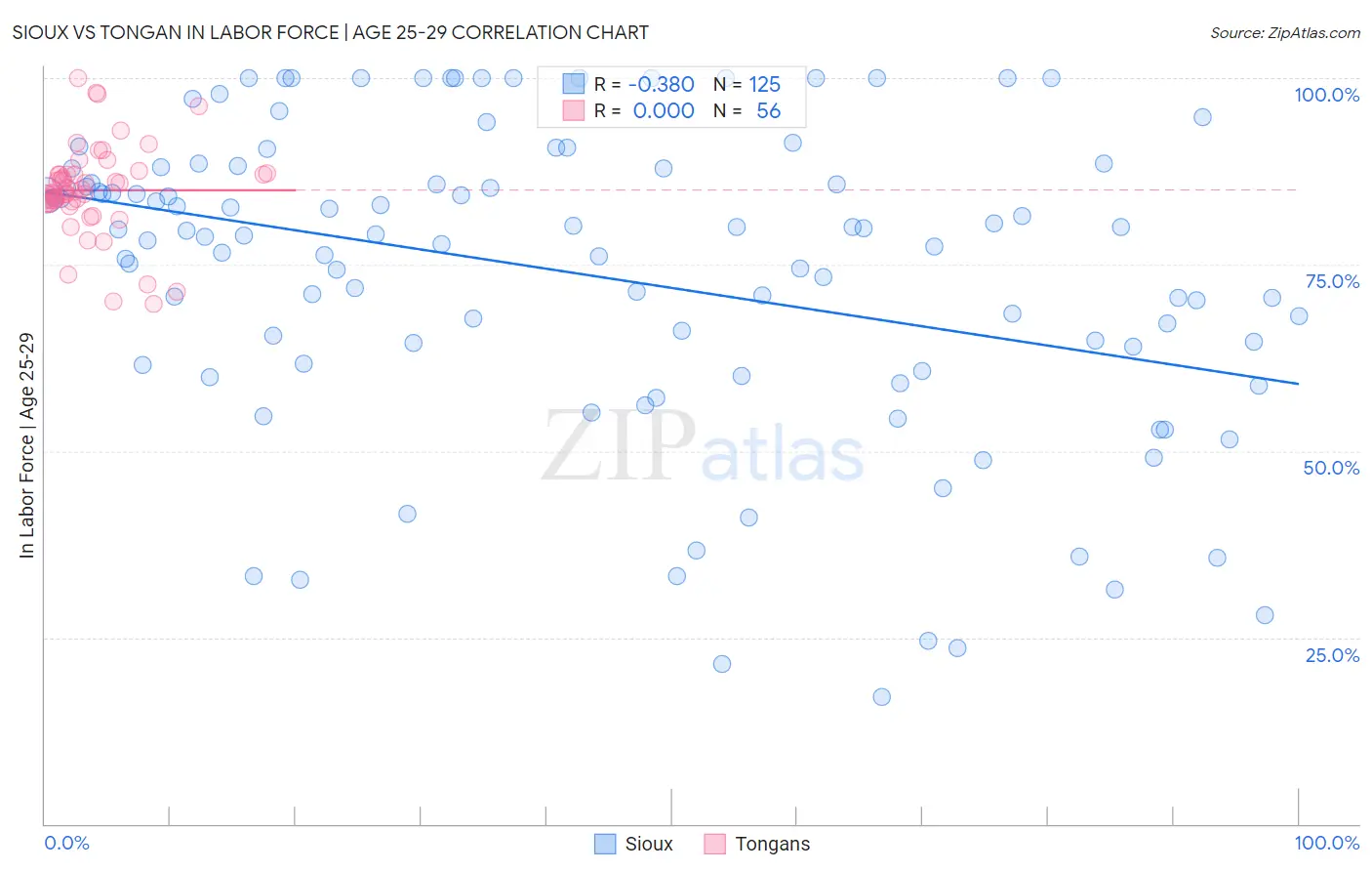 Sioux vs Tongan In Labor Force | Age 25-29