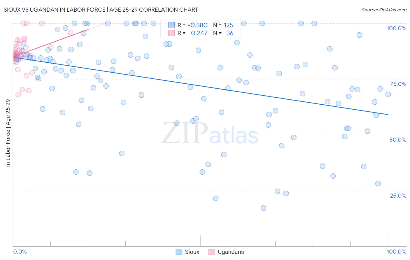 Sioux vs Ugandan In Labor Force | Age 25-29