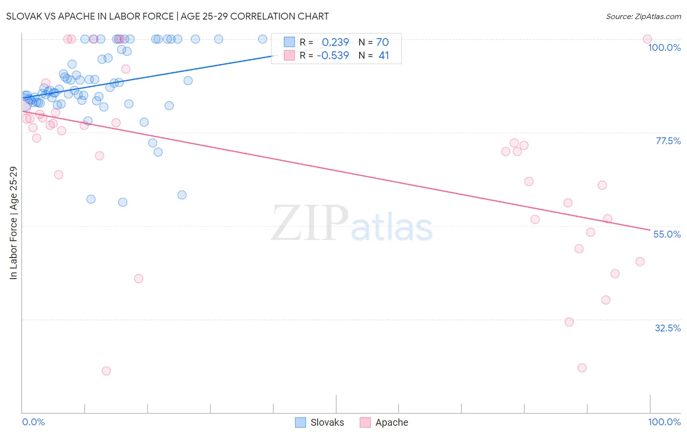 Slovak vs Apache In Labor Force | Age 25-29