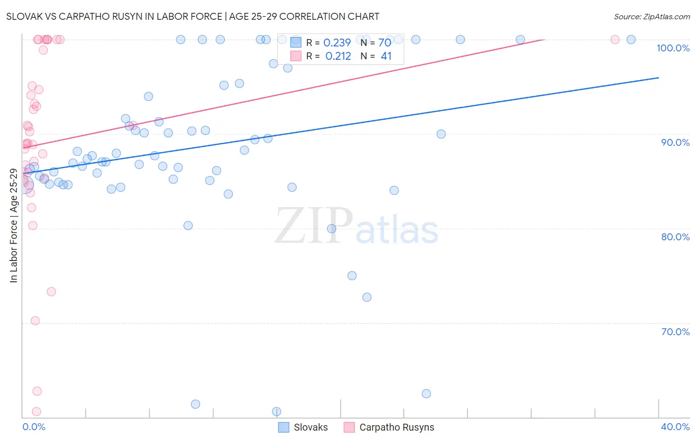 Slovak vs Carpatho Rusyn In Labor Force | Age 25-29