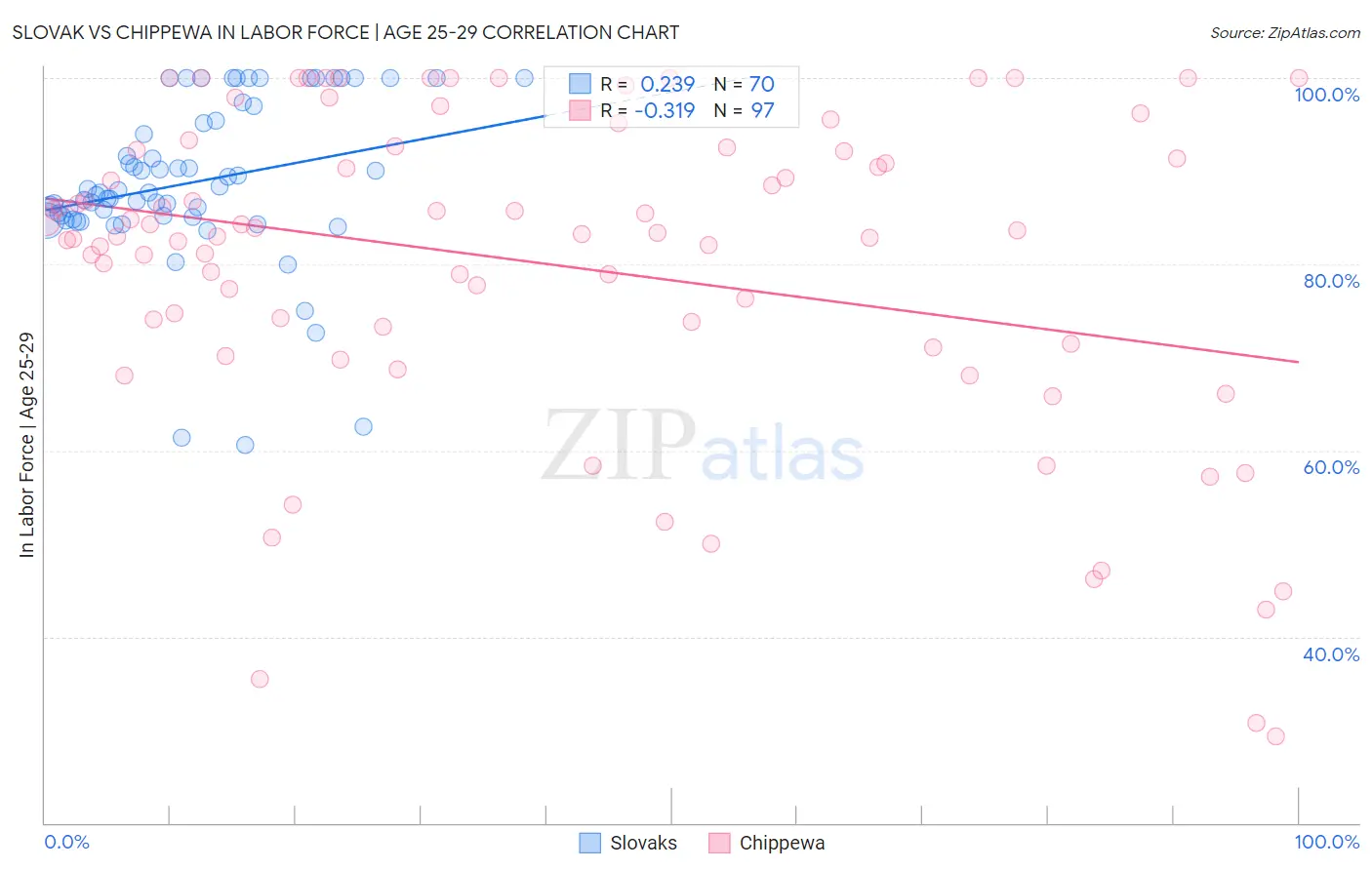 Slovak vs Chippewa In Labor Force | Age 25-29