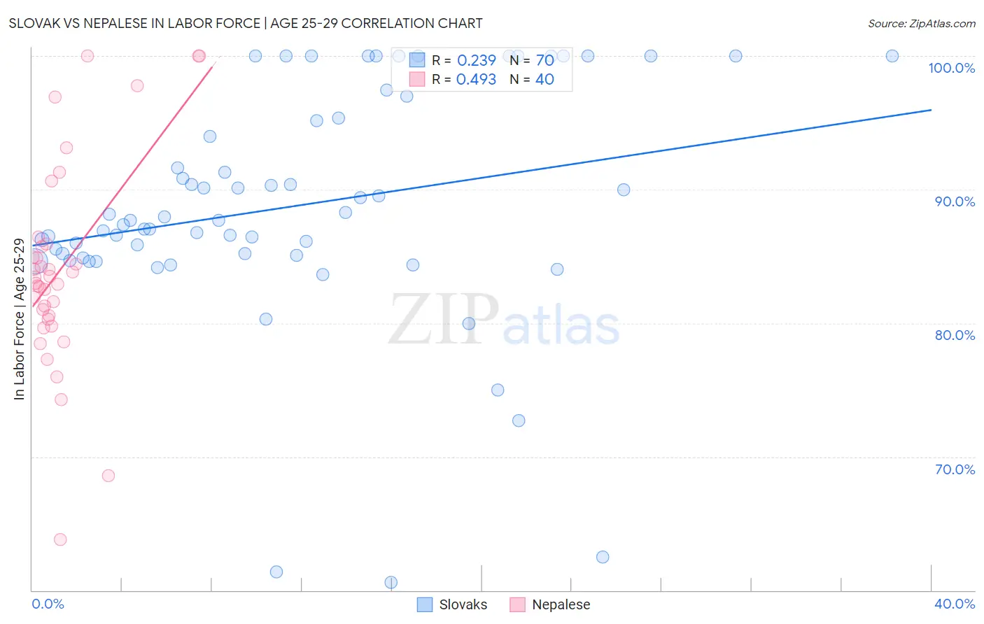 Slovak vs Nepalese In Labor Force | Age 25-29