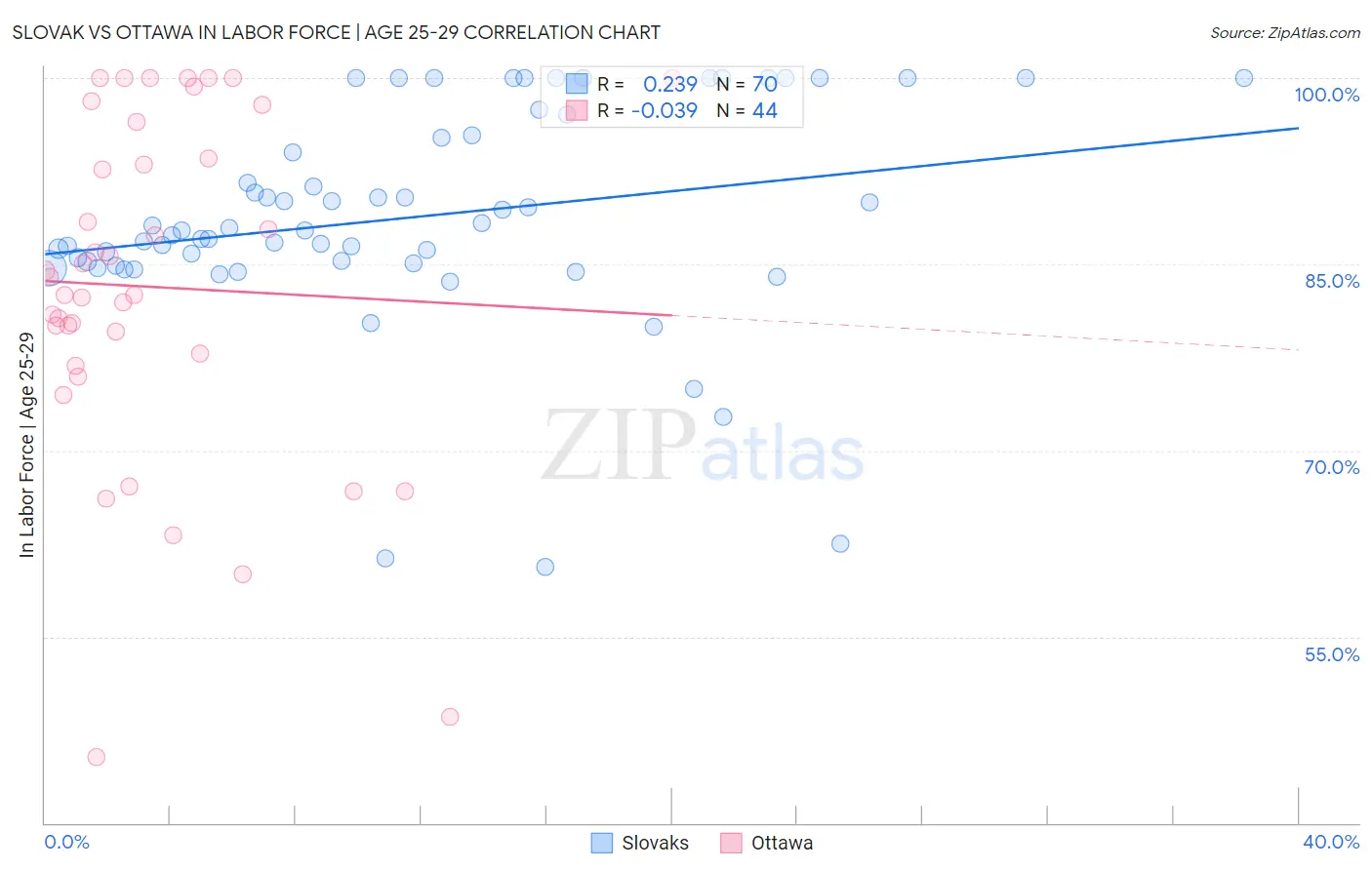 Slovak vs Ottawa In Labor Force | Age 25-29