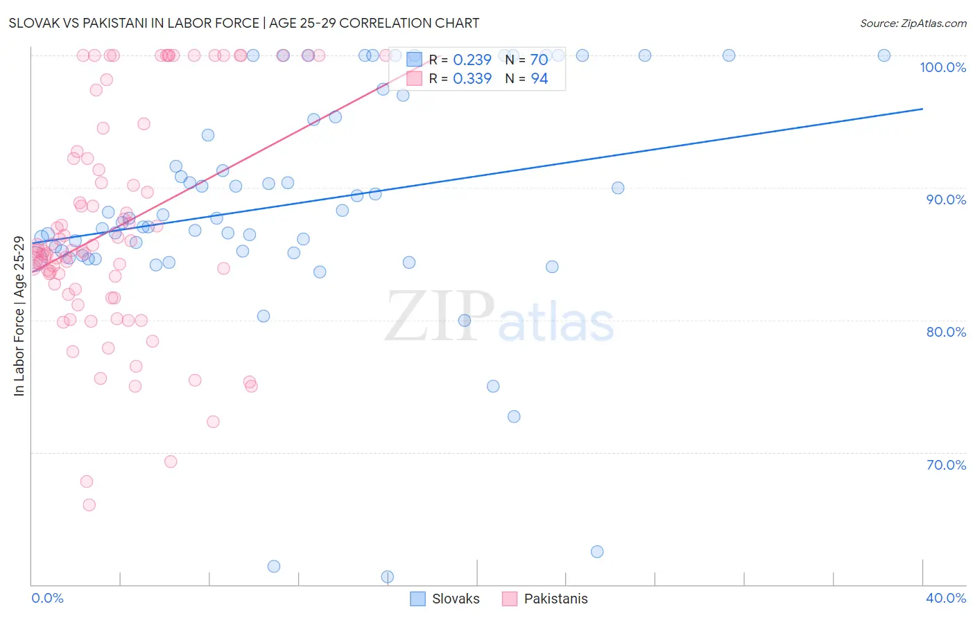 Slovak vs Pakistani In Labor Force | Age 25-29