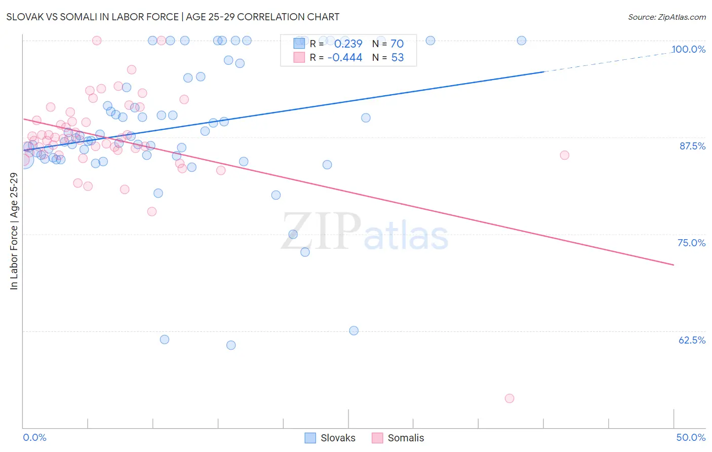 Slovak vs Somali In Labor Force | Age 25-29