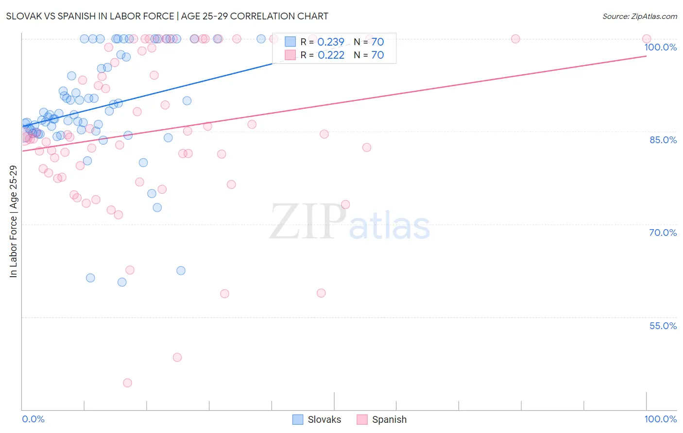 Slovak vs Spanish In Labor Force | Age 25-29