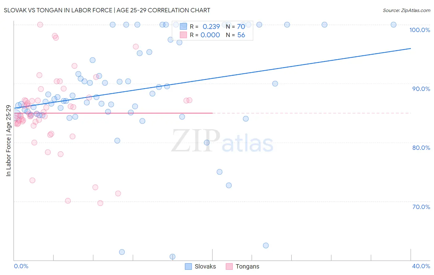 Slovak vs Tongan In Labor Force | Age 25-29